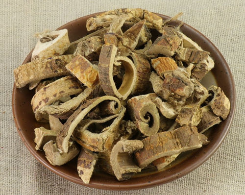 桑白皮